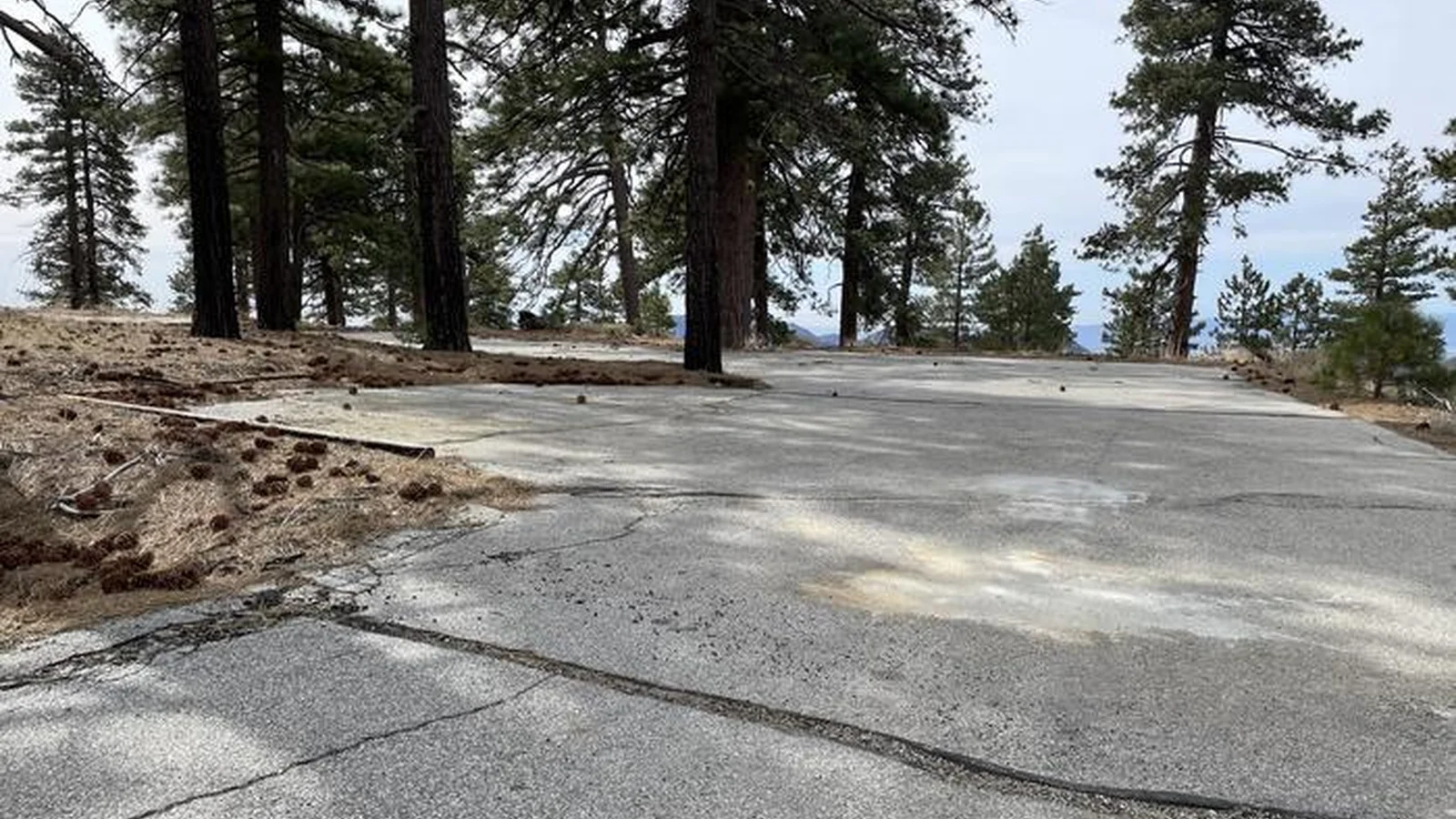 Gravel overflow parking in a pine tree forest.