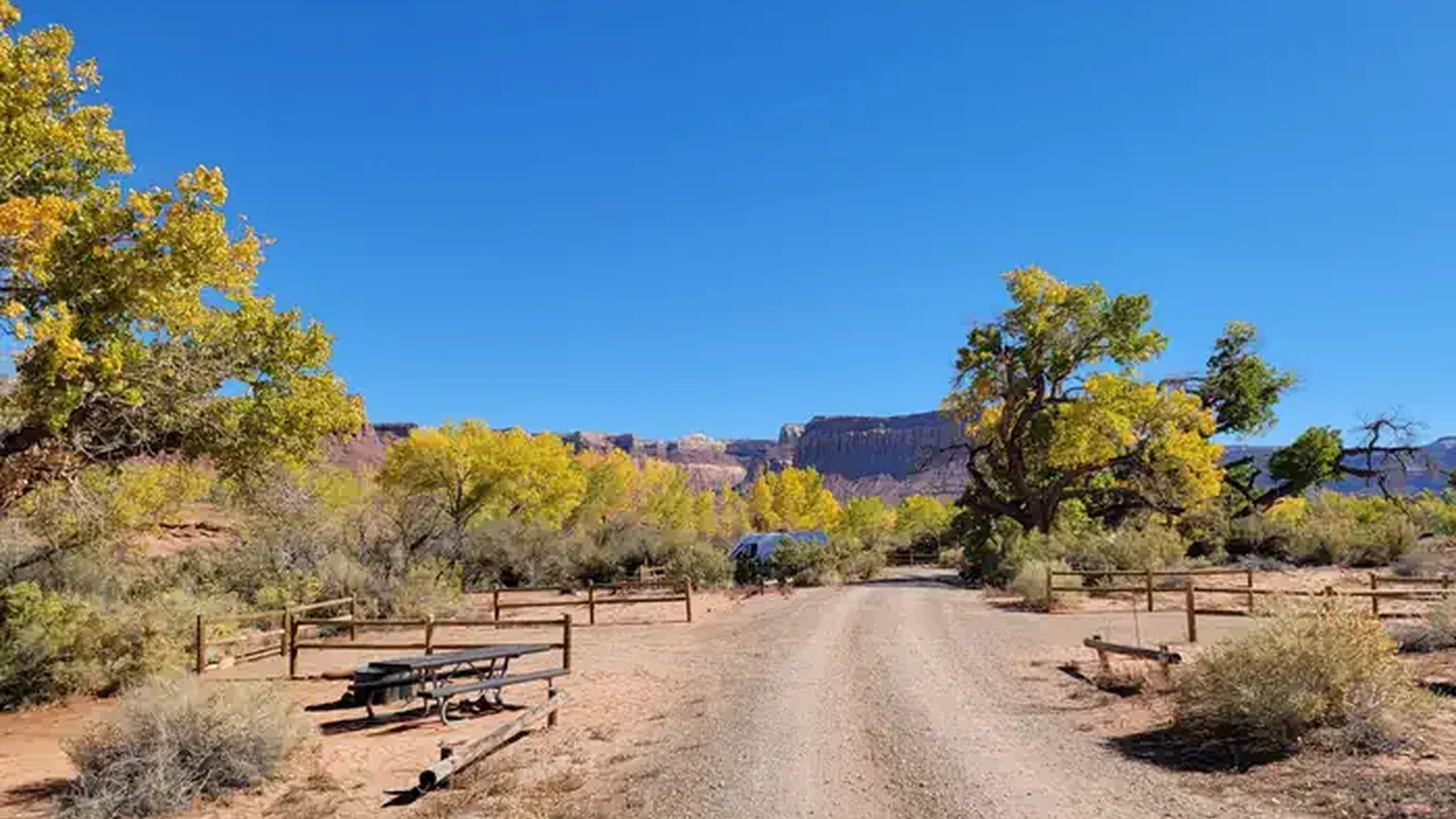 A picnic table and the campground road lined with Cottonwood trees.