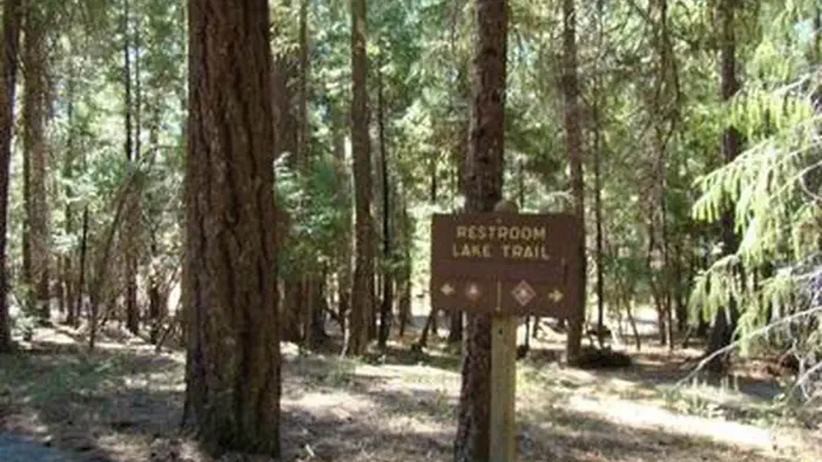 ALPINE VIEW CAMPGROUND7
