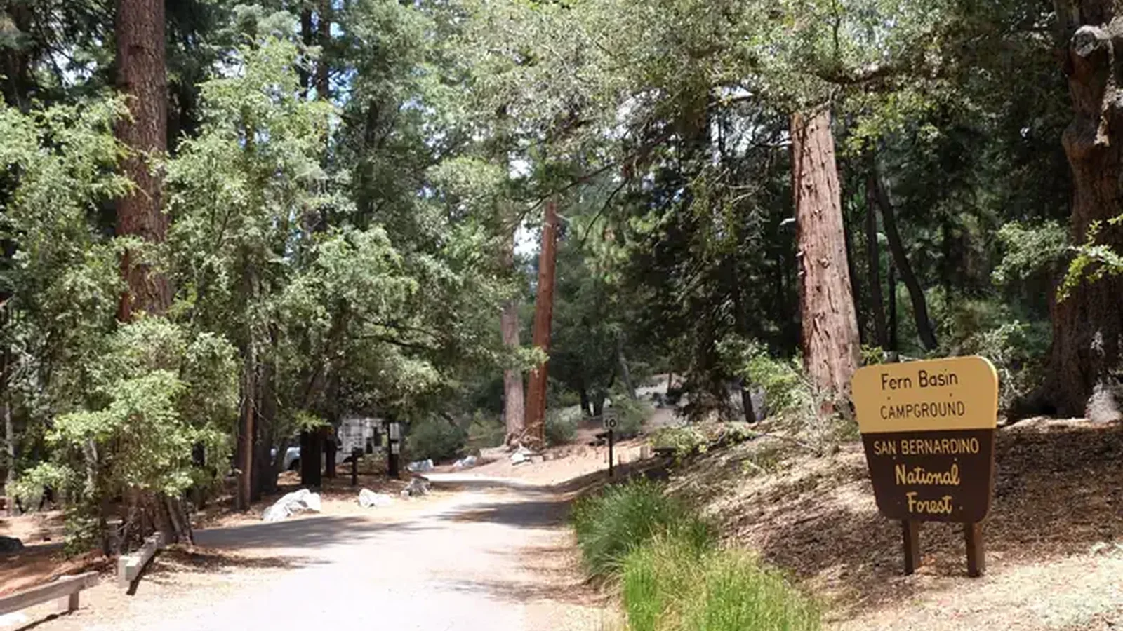 Roadway with Fern Basin Campground sign.