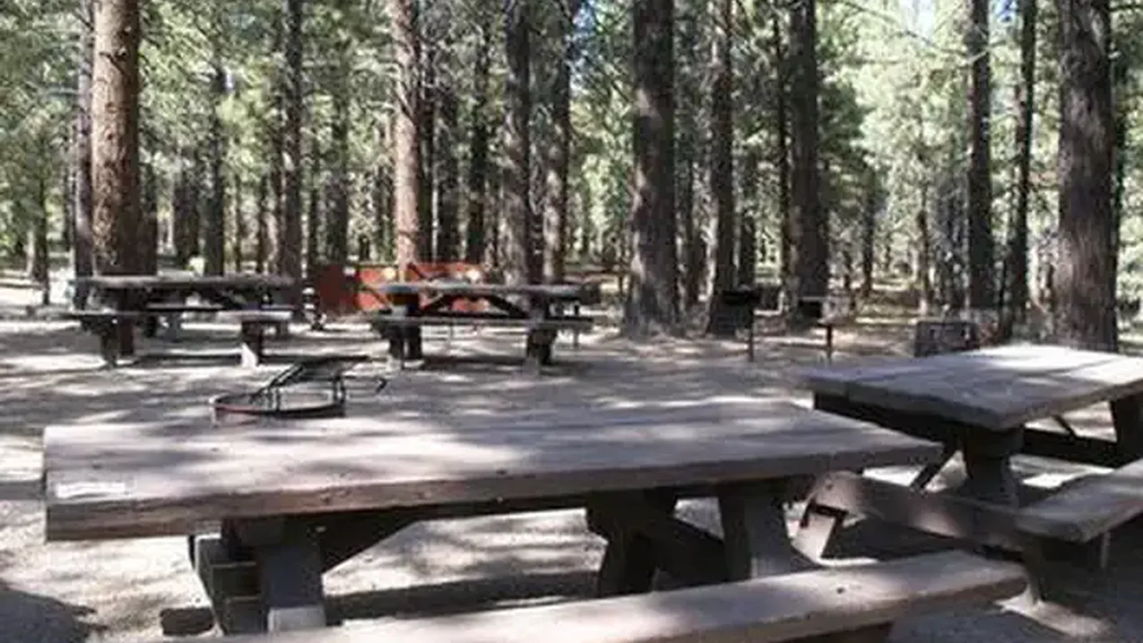 PINE GLEN