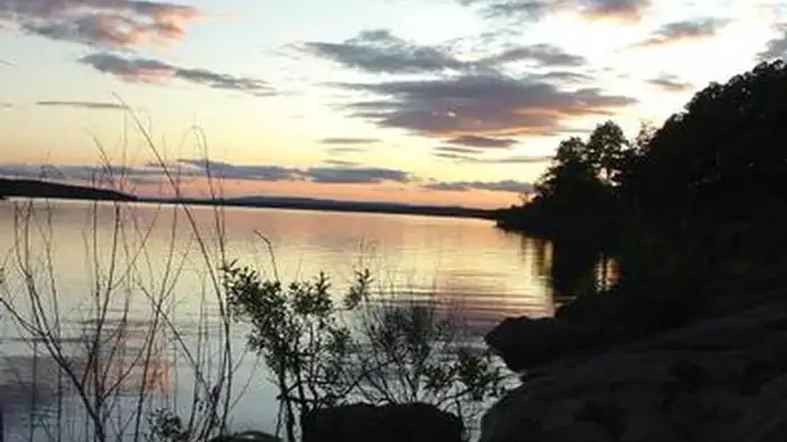 CARTER COVE