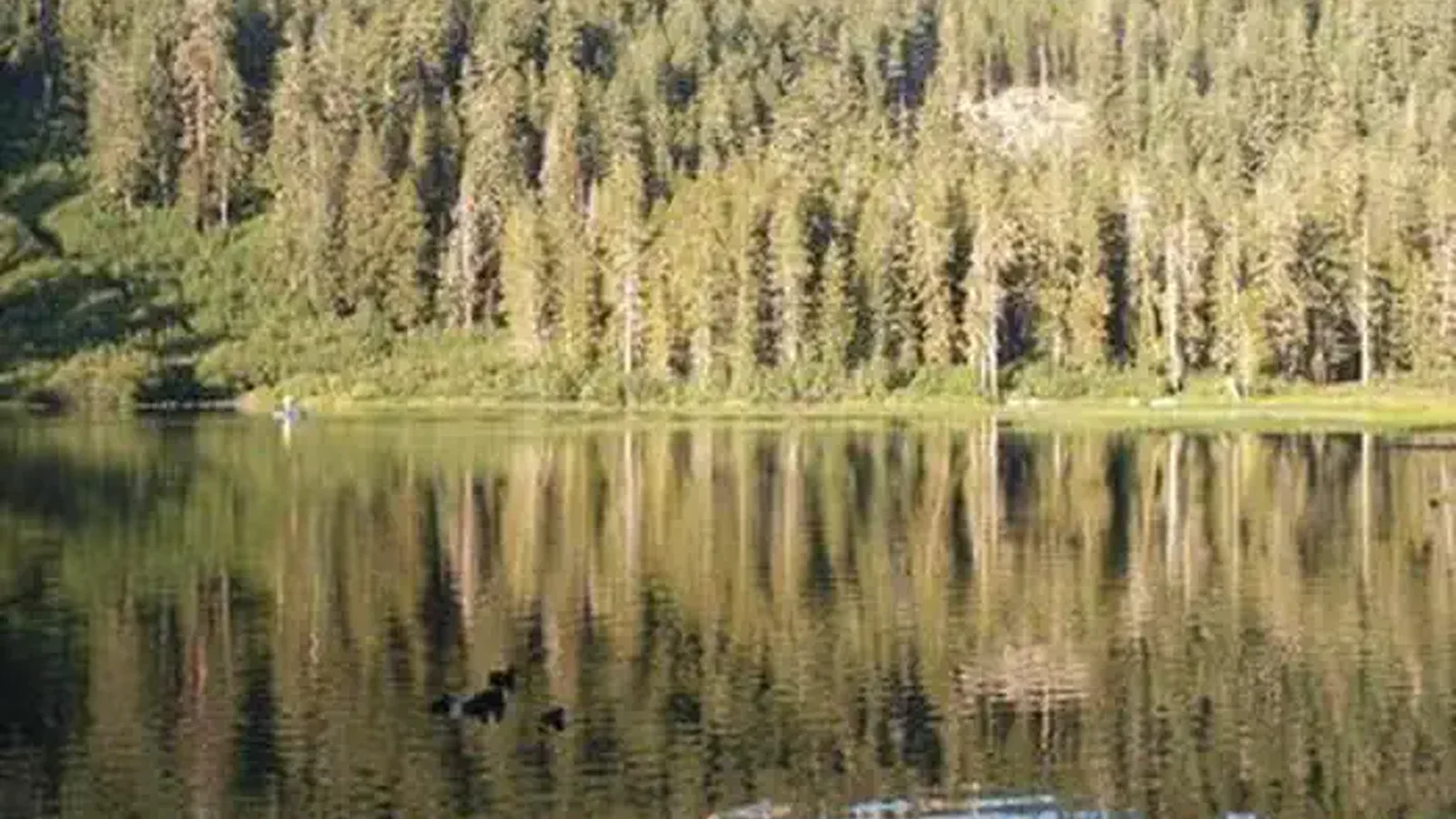 TWIN LAKES CAMPGROUND