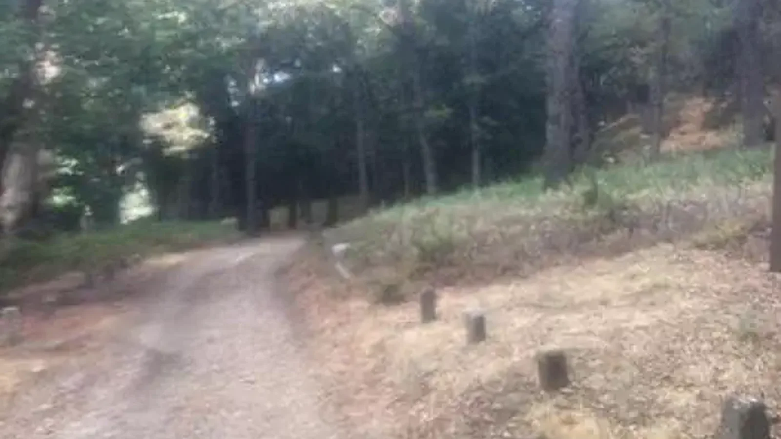 WHITE OAKS CAMPGROUND