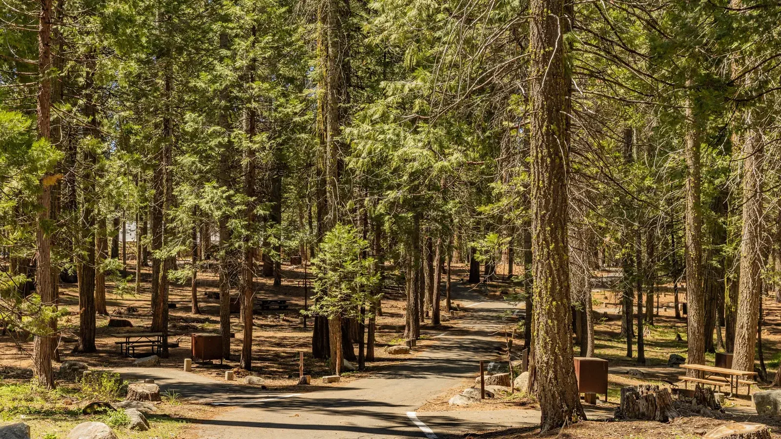 Meadowview Campground 300 & 400