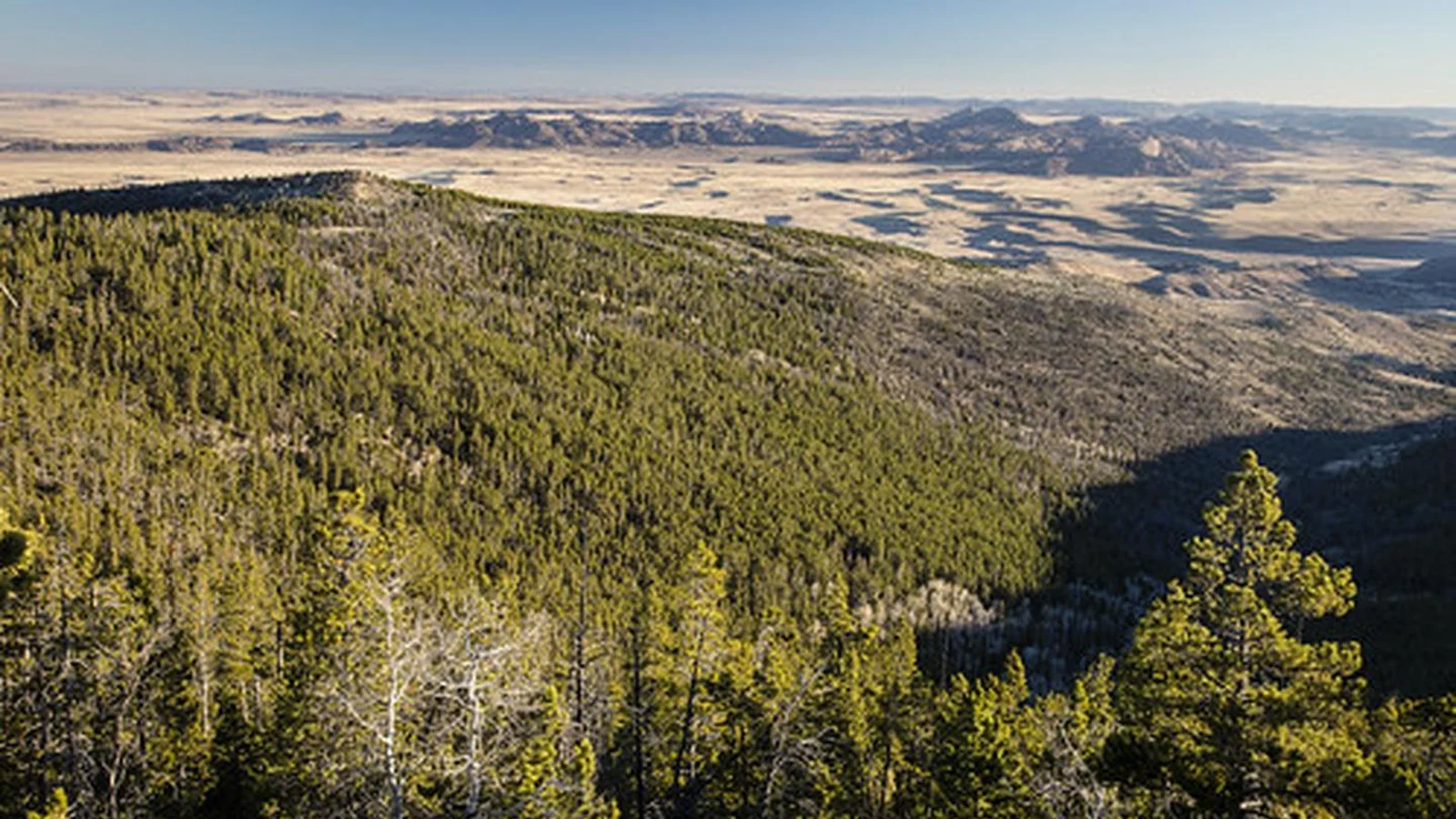 Lankin Dome photo