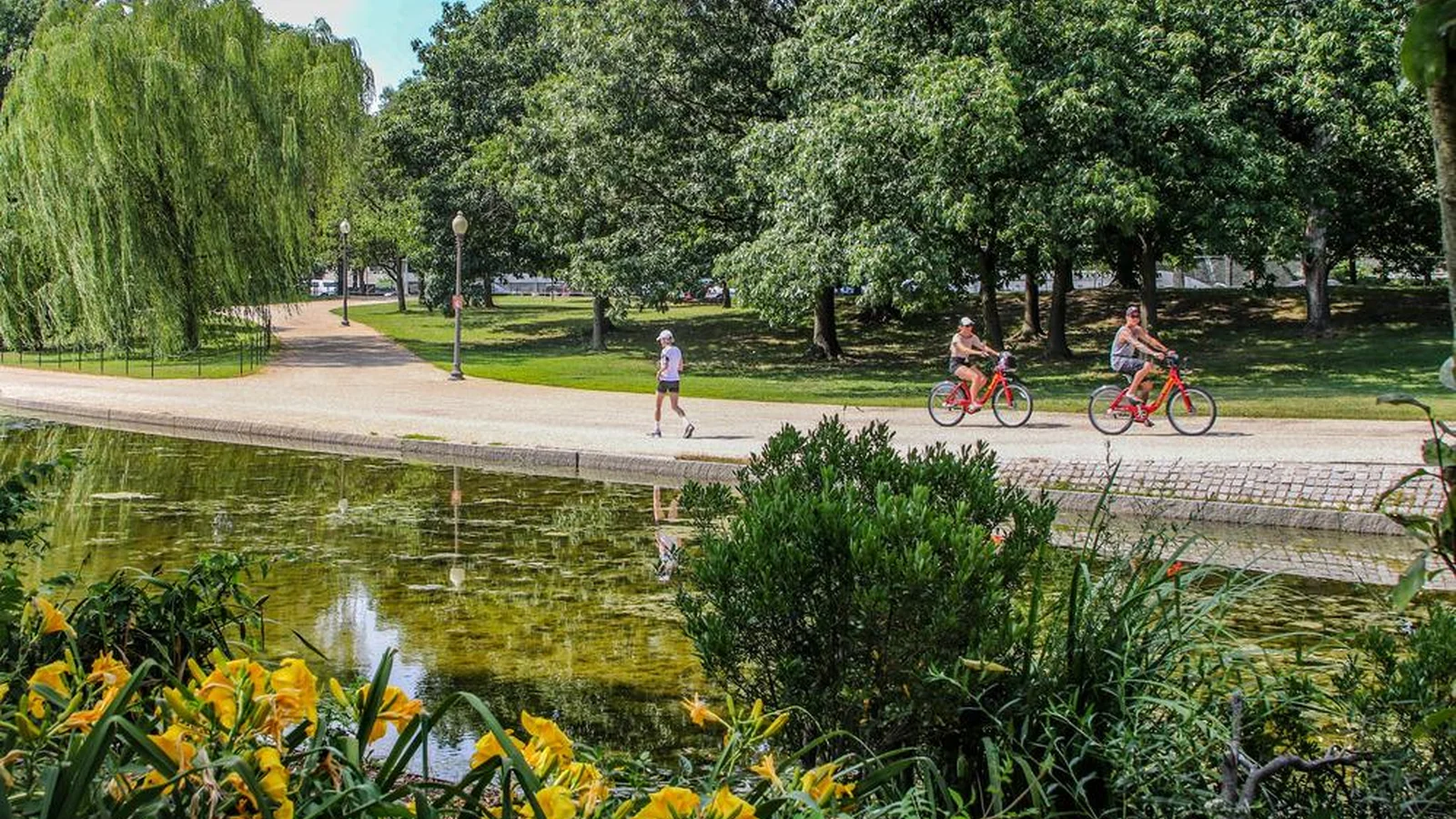 Constitution Gardens
