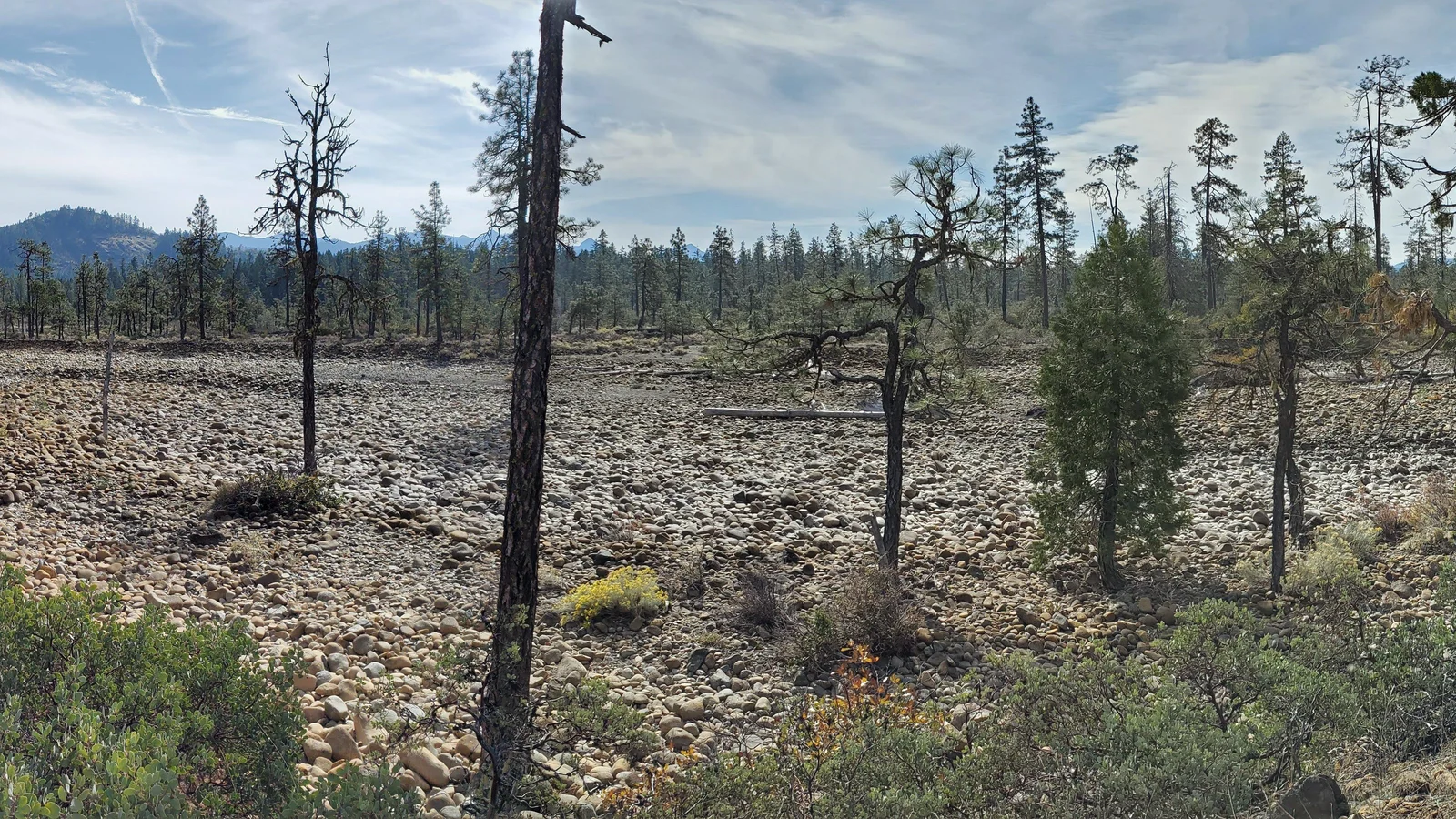 Panoramic view along the Rough and Ready Flat trail.