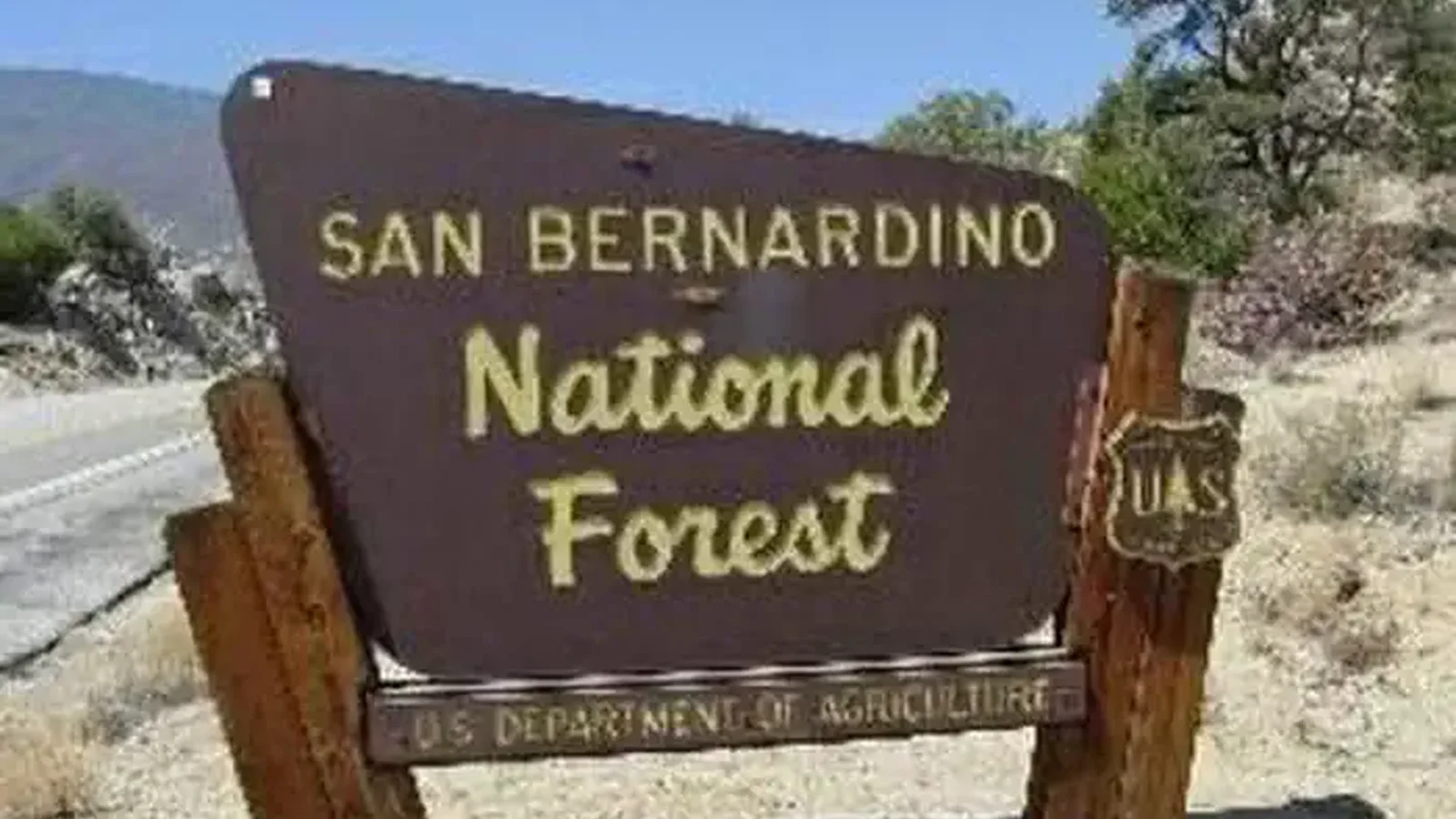 San Bernardino National Forest Sign at Lobo Group Campground