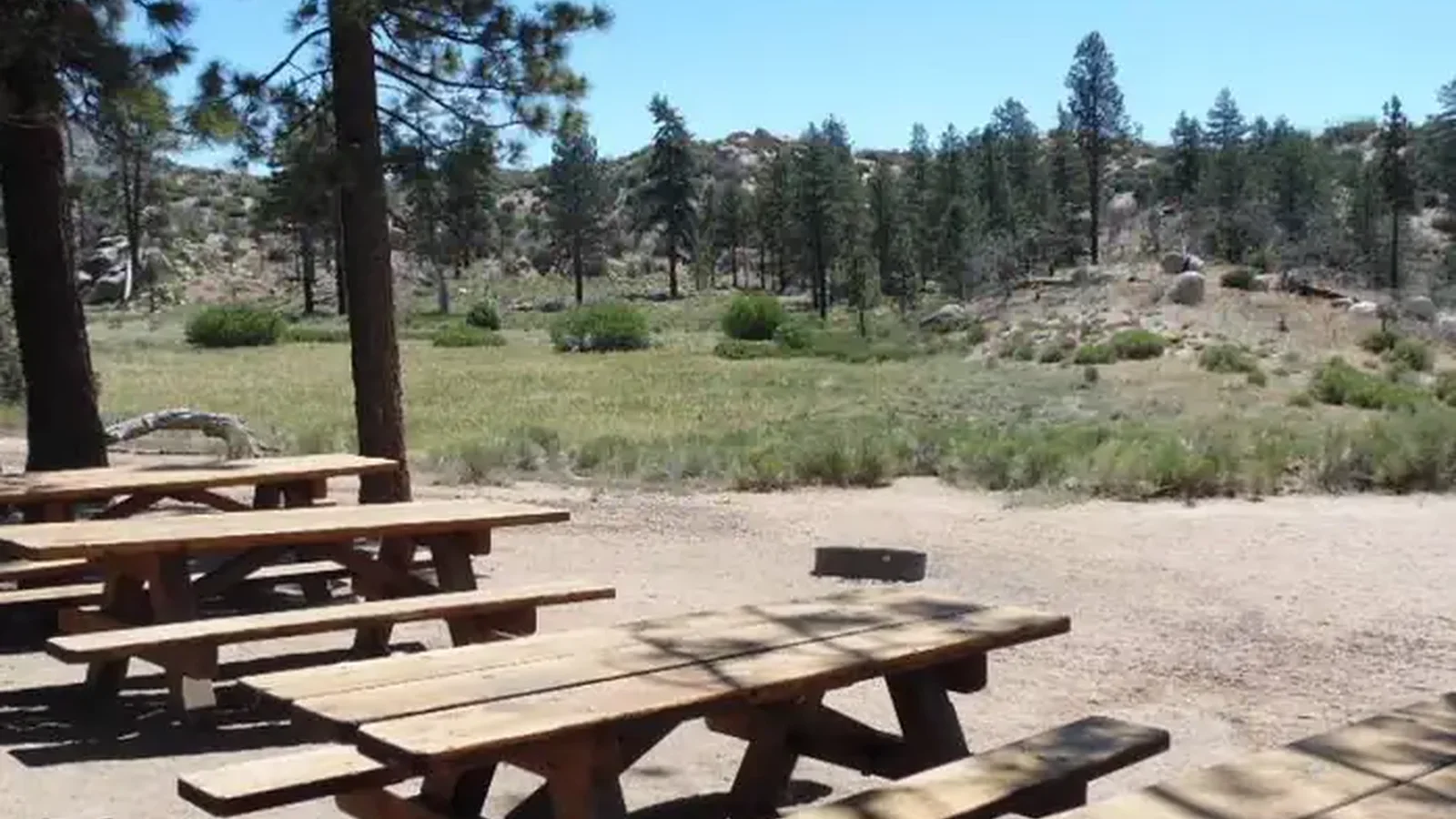 Ironwood Group Camp