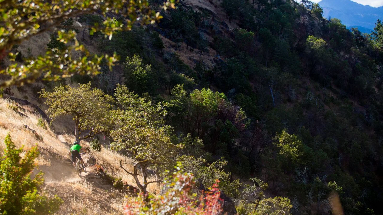 Side hill carving at the Mountain of the Rogue Trail System
