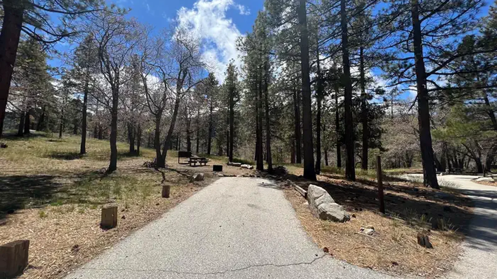Mountain Oak Campground - Site 4