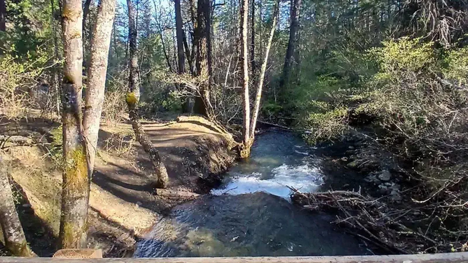 East Weaver Creek