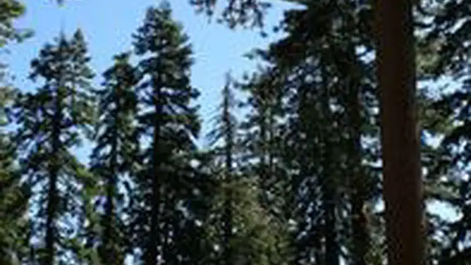 MASTERSON GROUP CAMPGROUND