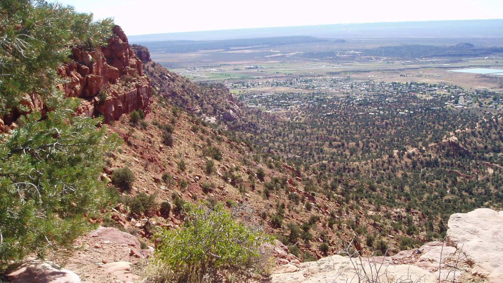 Bunting Trail