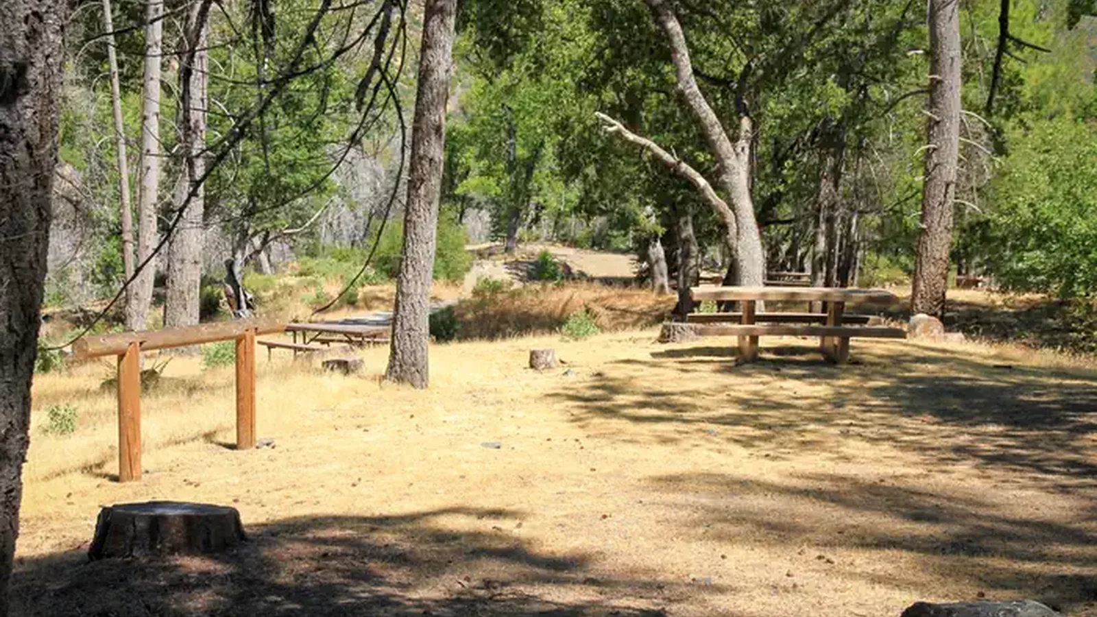 Campsite with Hitching Post and Picnic Table