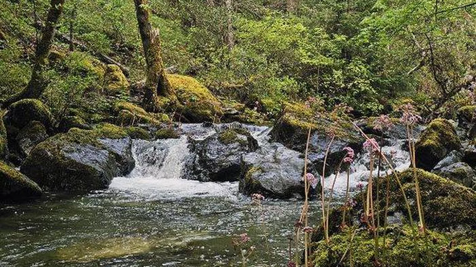 6 mile creek