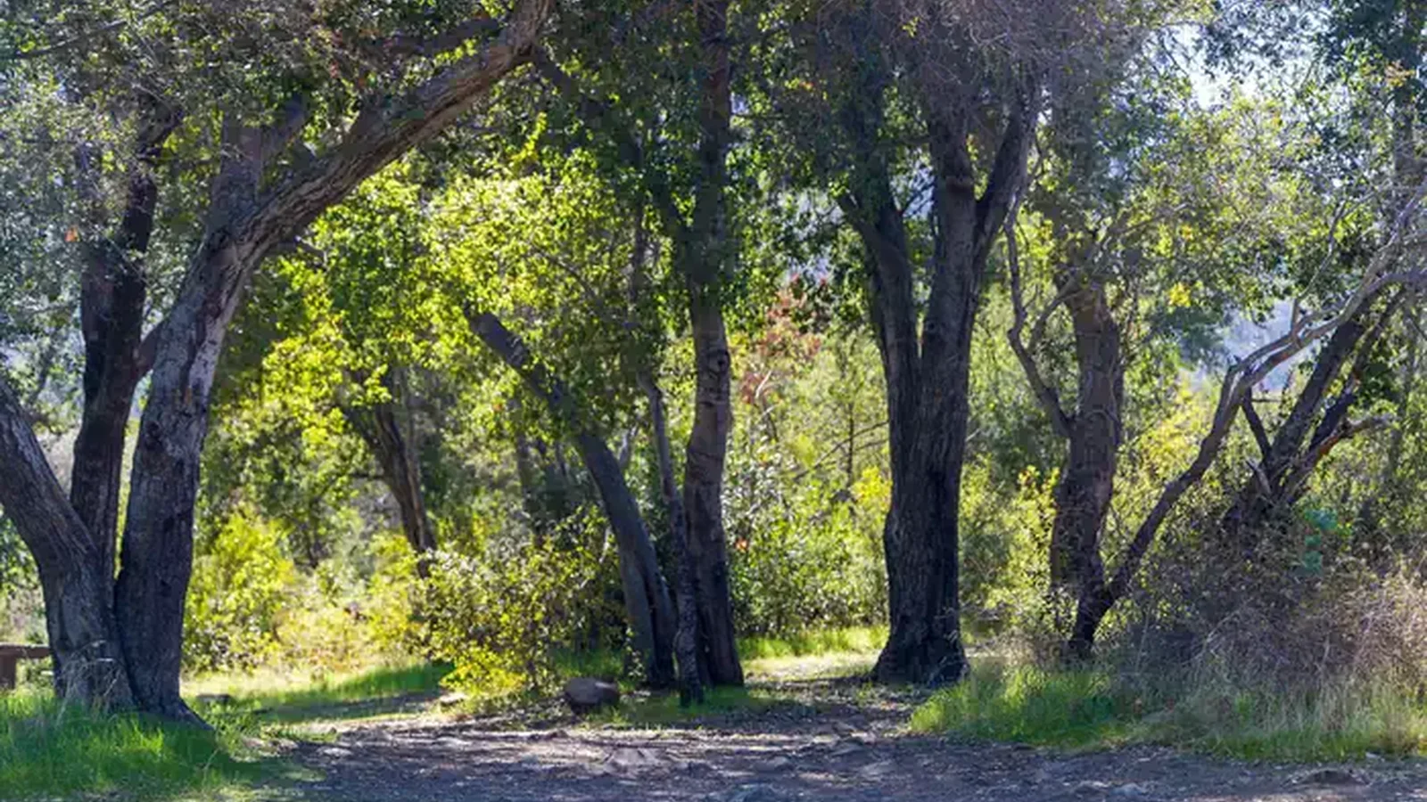 Holiday group Campground a
