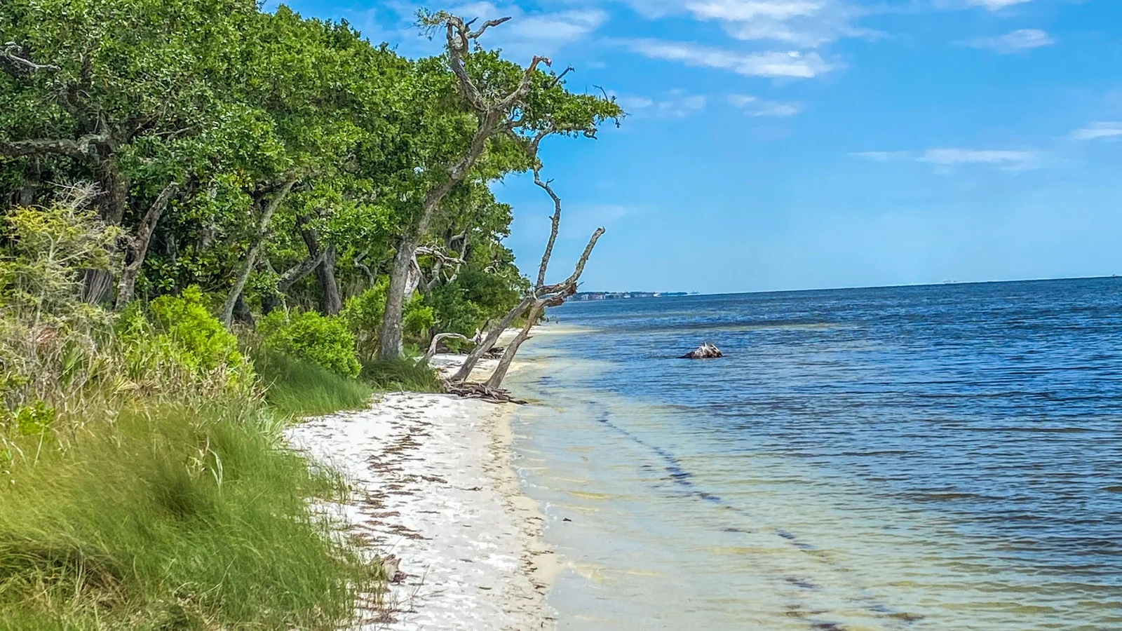 Naval Live Oaks Area