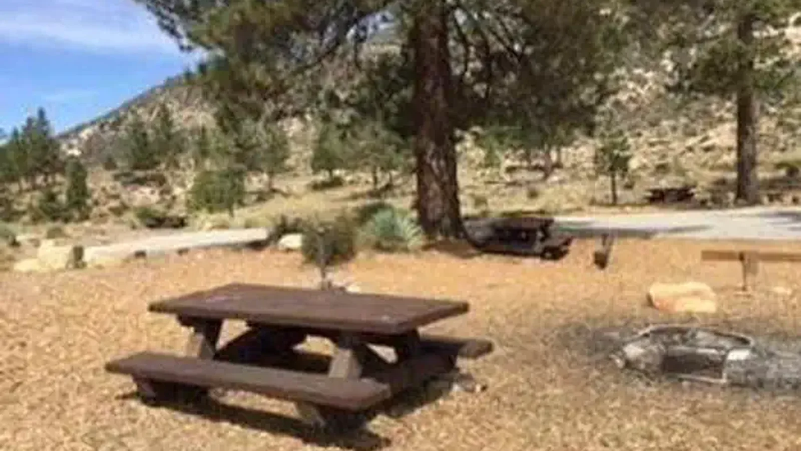 MEADOW GROUP CAMPGROUND4