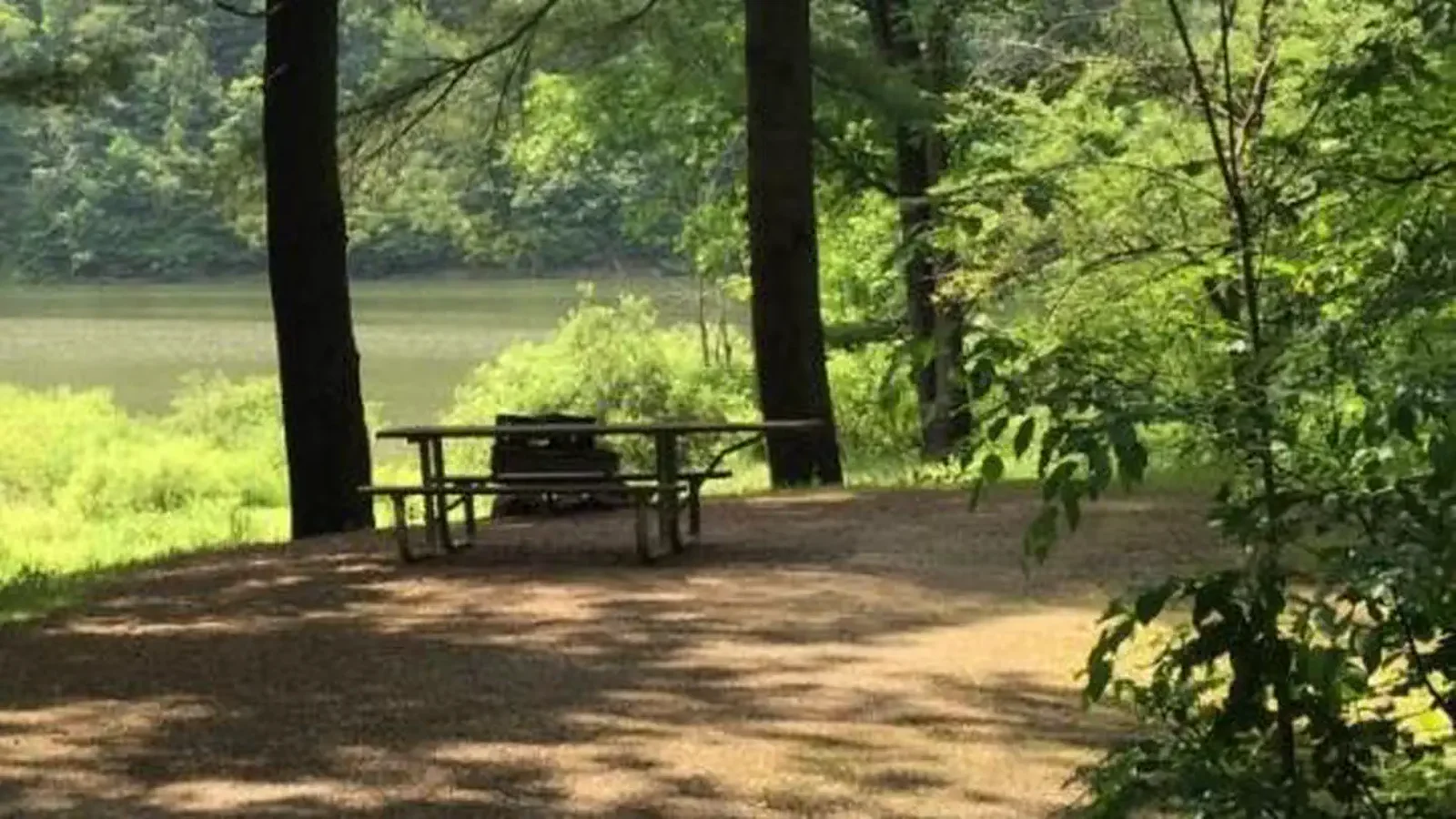 This small rustic campground is located on the east bank of the Allegheny Reservoir just north of Kinzua Wolf Run Marina.