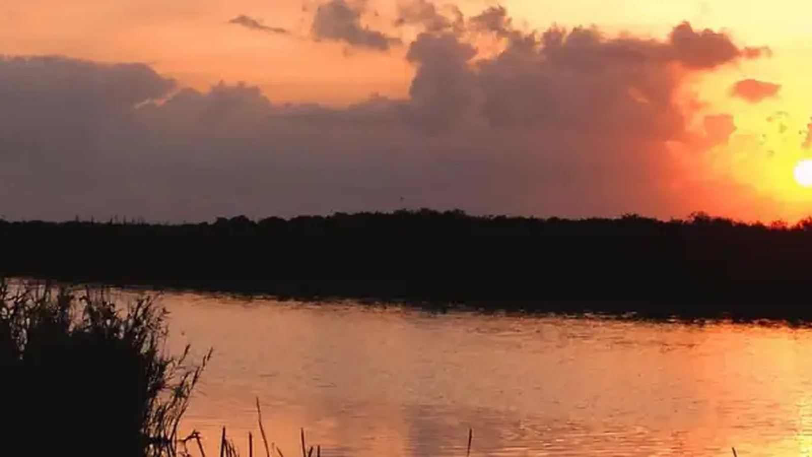 Arthur R. Marshall Loxahatchee National Wildlife Refuge, Florida