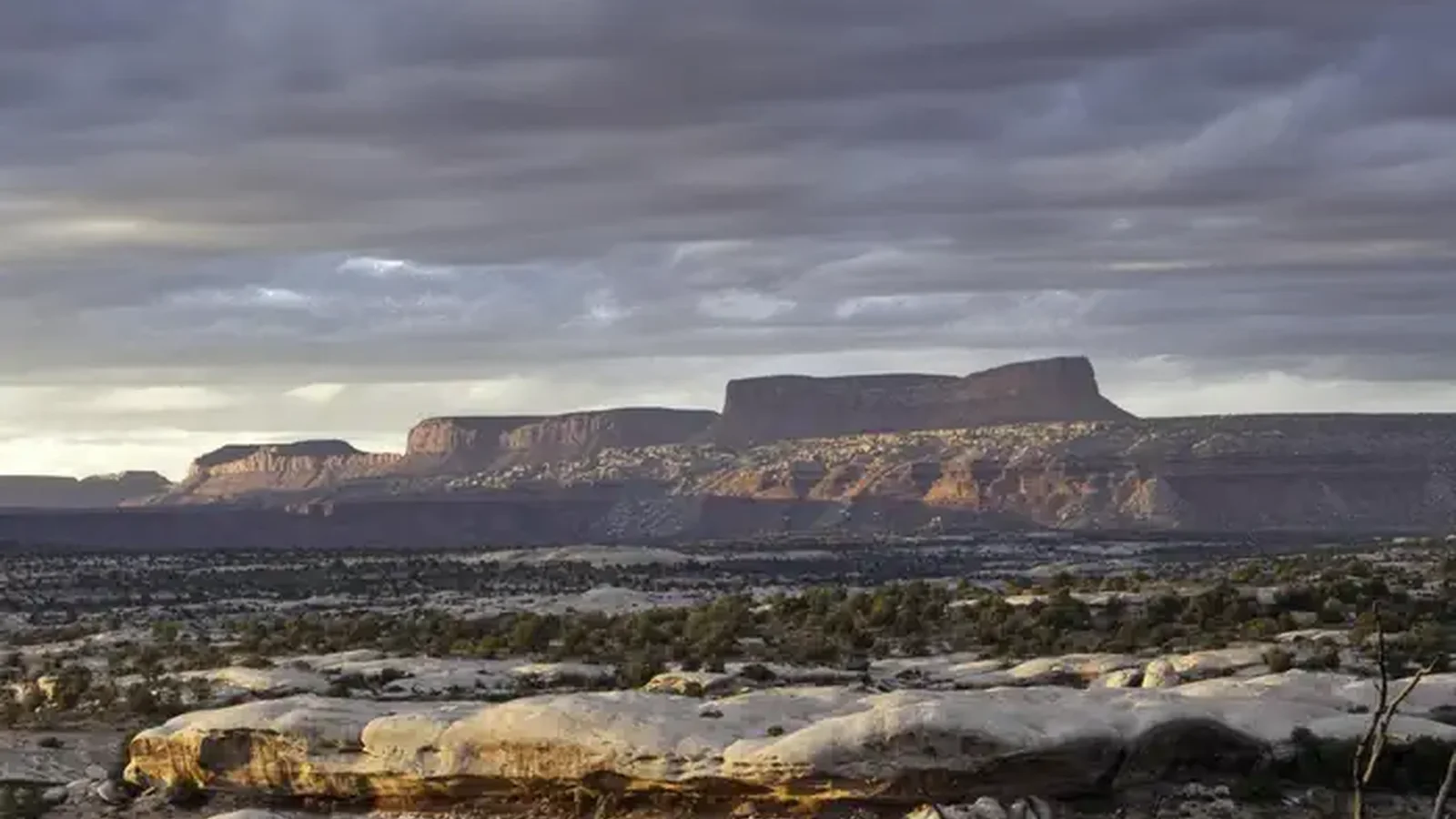 Cedar Mesa Pic