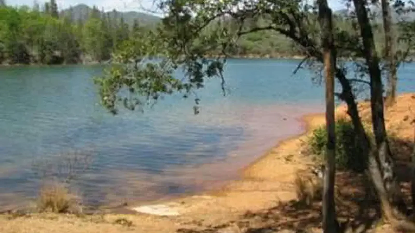 Dry Creek Group Campground with view of the lake