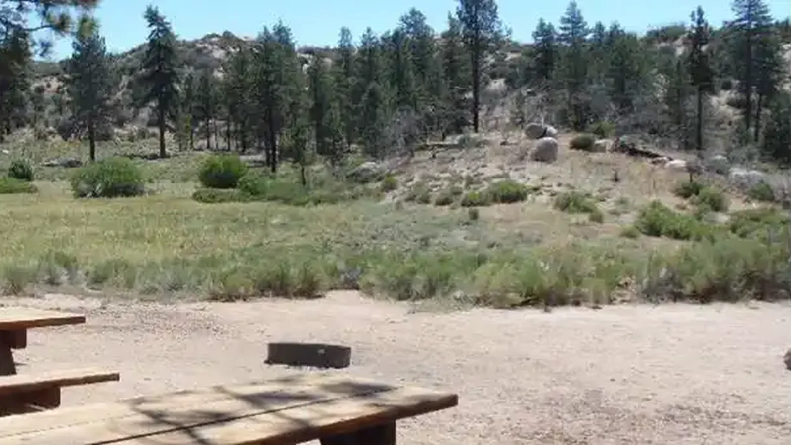 Ironwood Group Camp