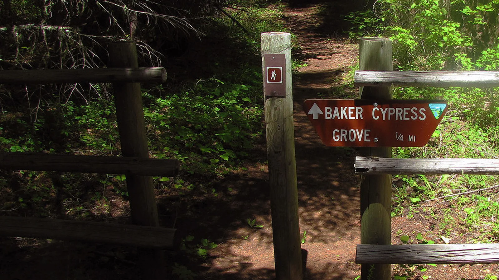 Baker Cypress Trailhead.