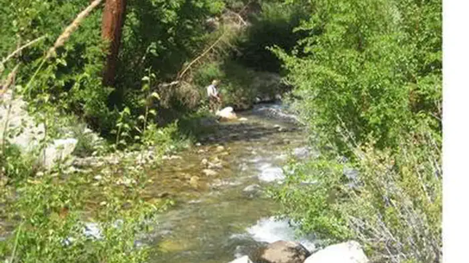 BIG PINE CREEK CAMPGROUND