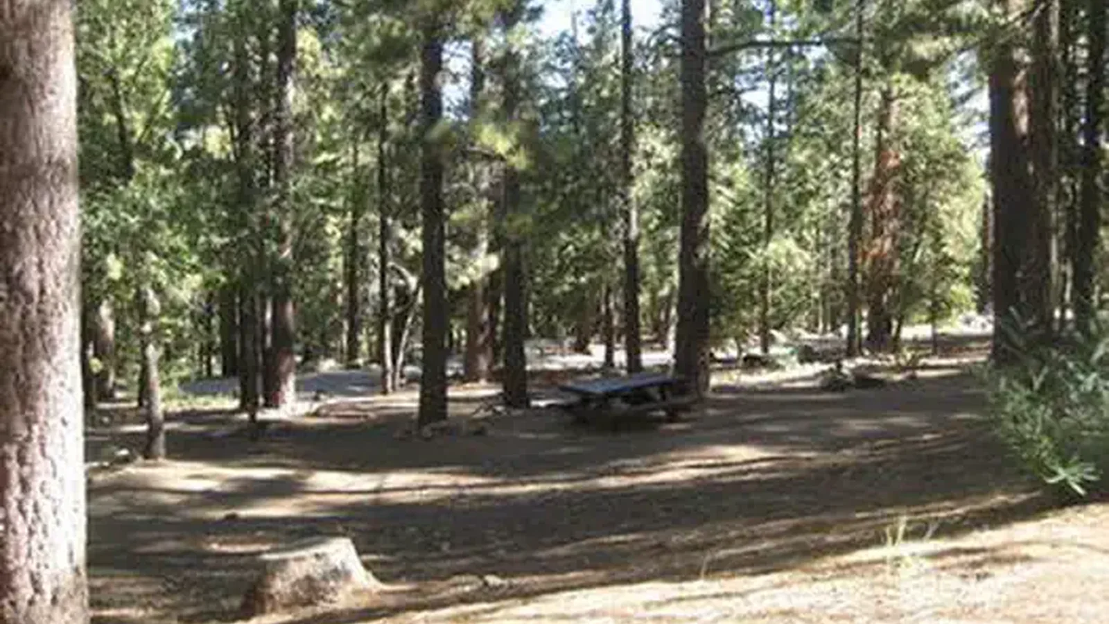 PINEKNOTNaturally Shaded Picnic Tables at Pineknot Campground