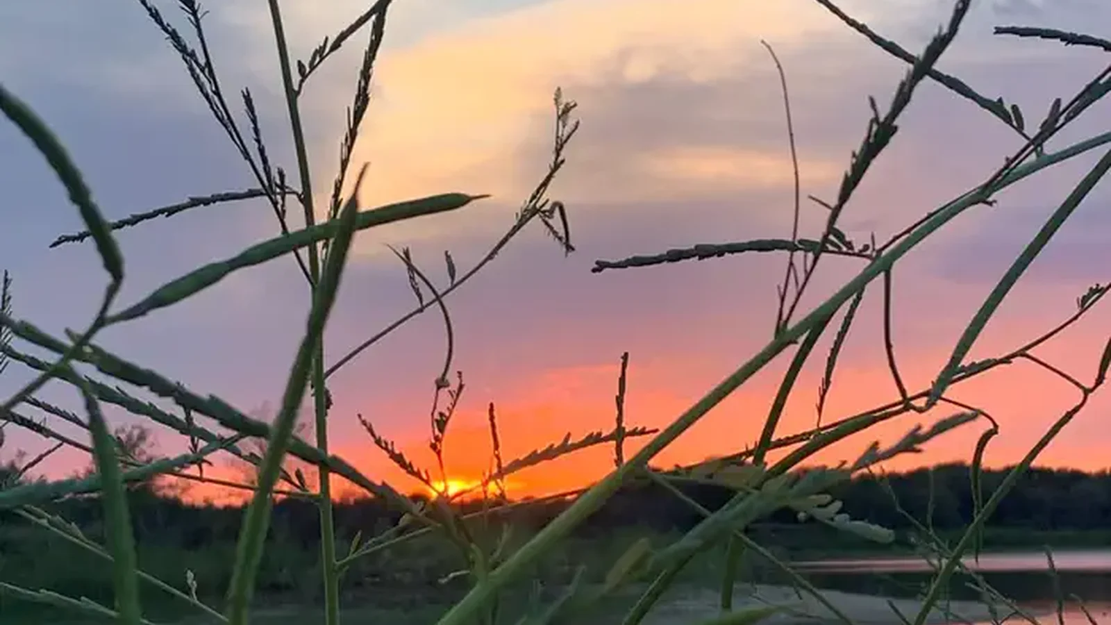 Sunset view from shoreline