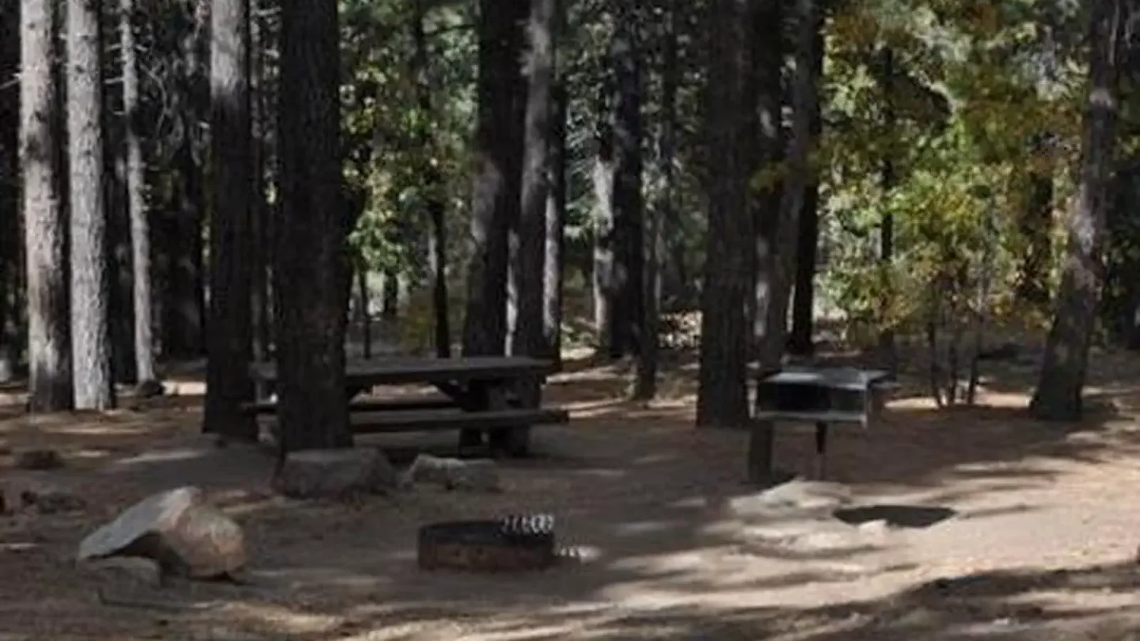 Naturally Shaded Picnic Tables, Fire Ring and BBQ Grill at Pineknot Campground