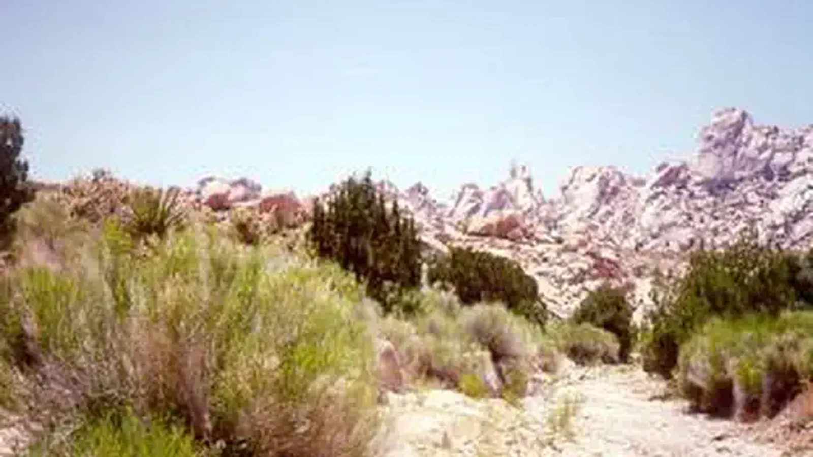Bristol Mountains Wilderness