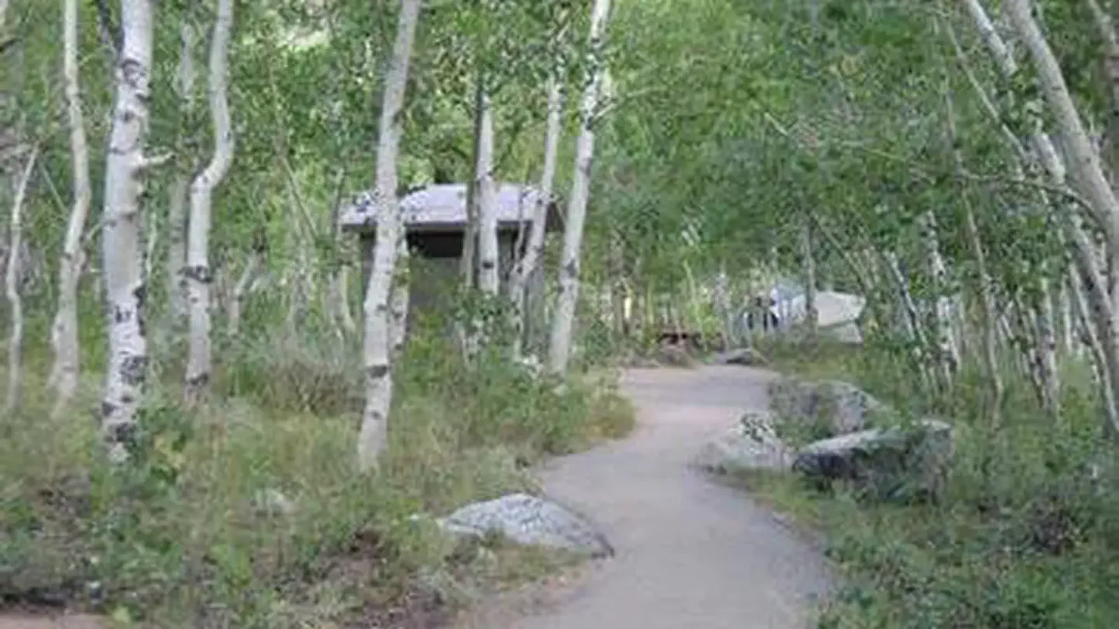 A path winds between trees to a restroom facility