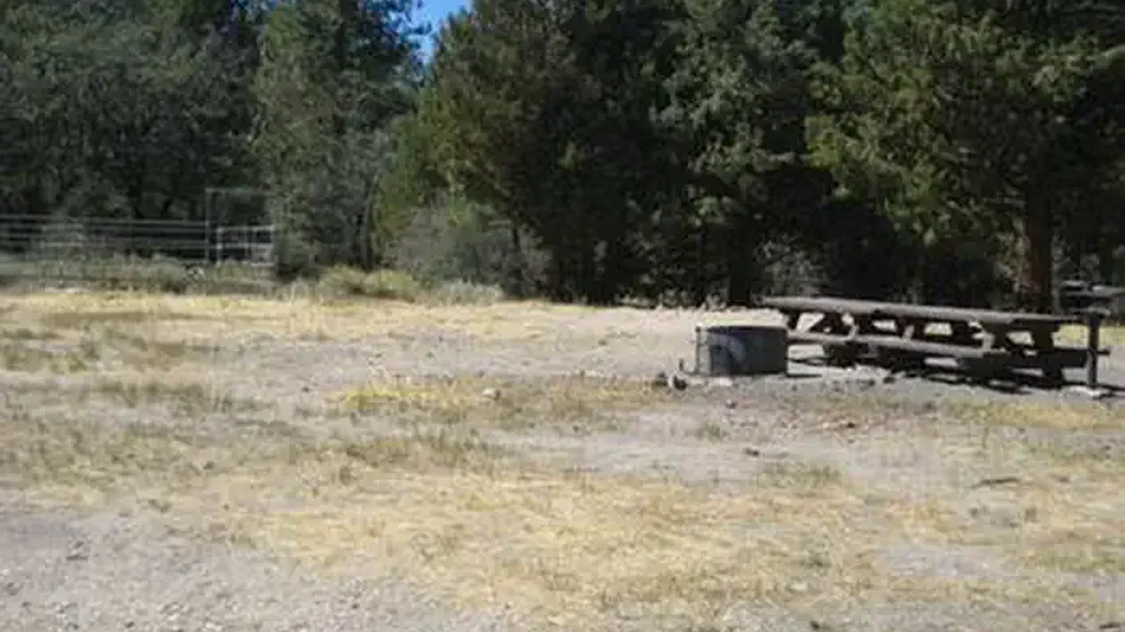 Fire Pit & Picnic Tables at Green Spot Equestrian Group Camp