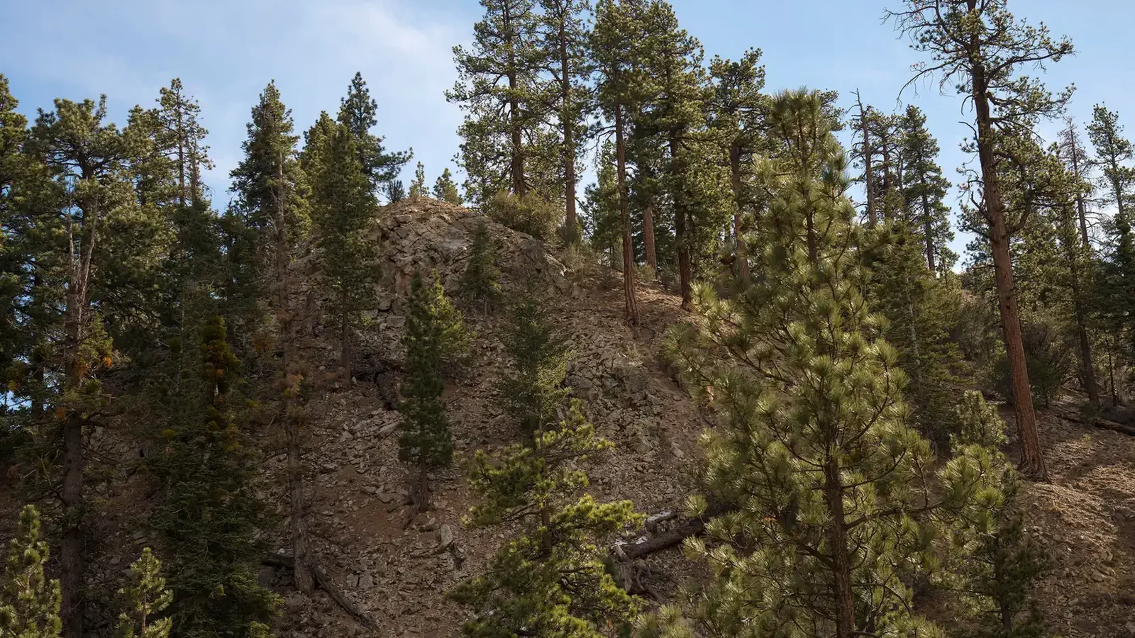 View from Coon Creek Cabin Recreational Area