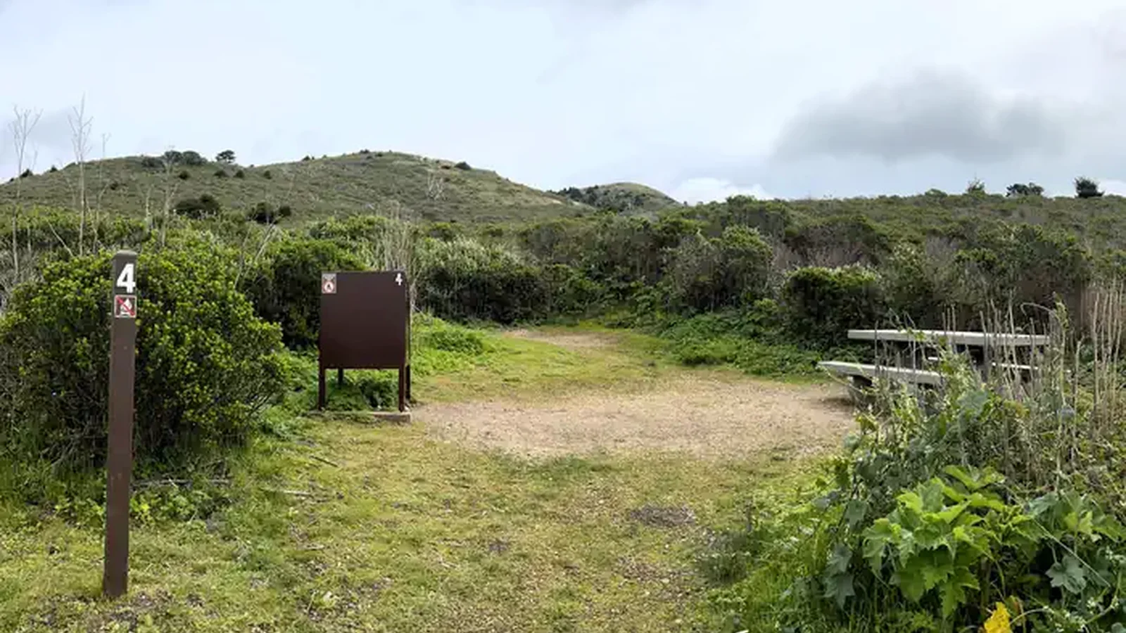 Campsite with picnic table and bear box surrounded in trees.