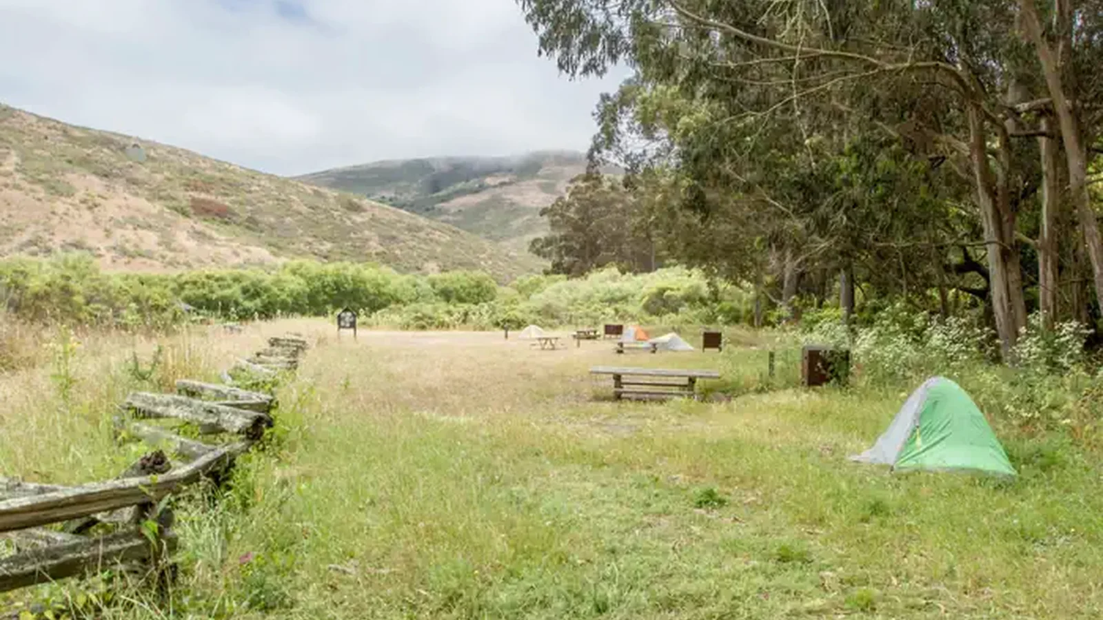 A large grassy field with multiple campsites that are roughly 11 feet apart.