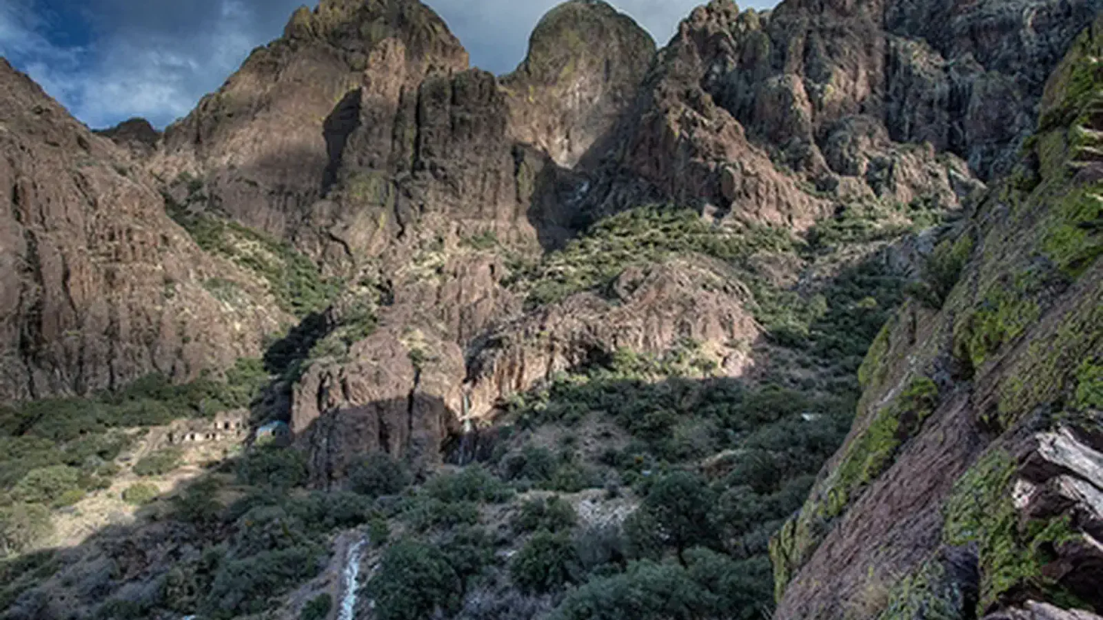 Dripping Springs Natural Area