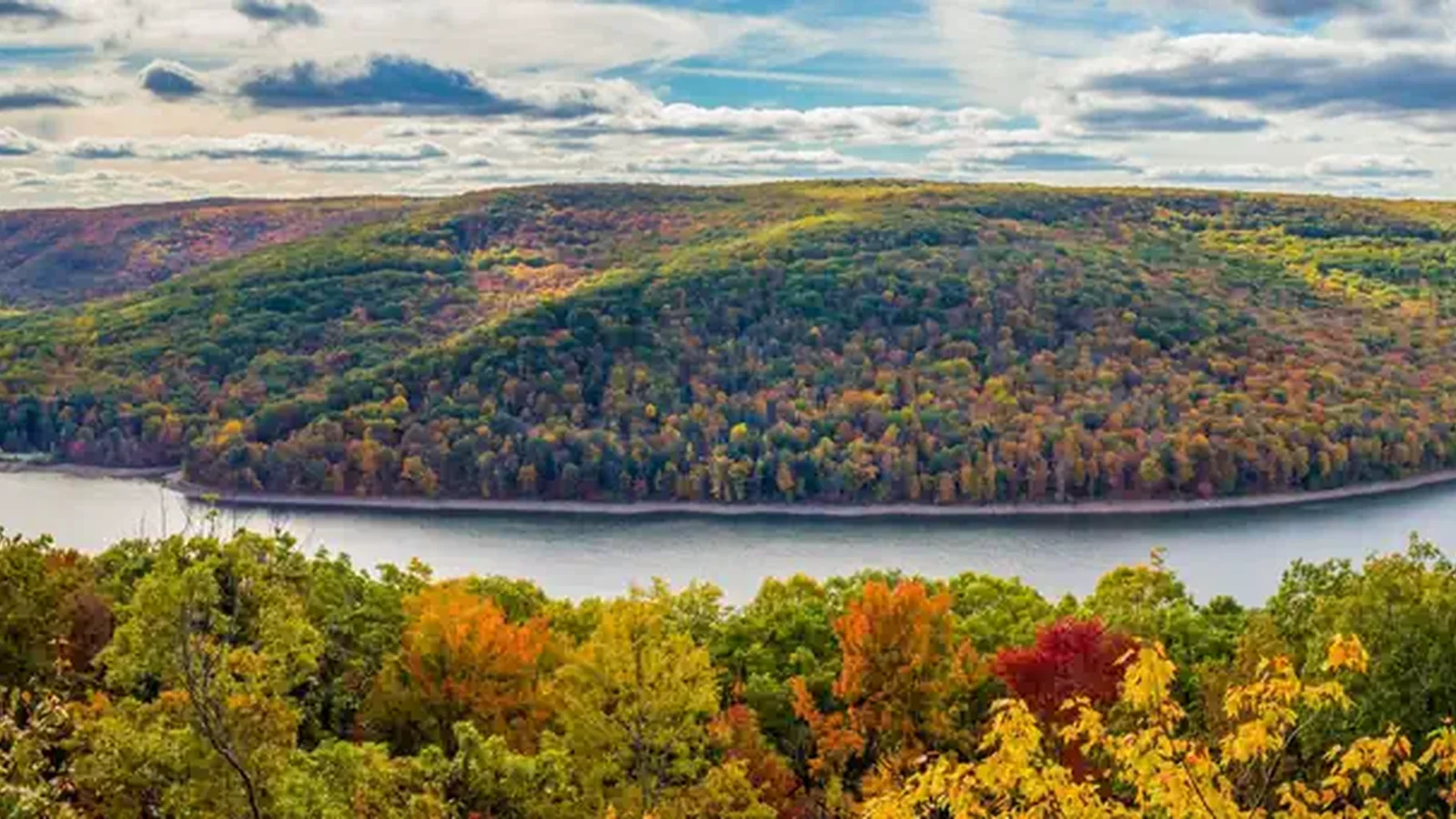Allegheny National Forest