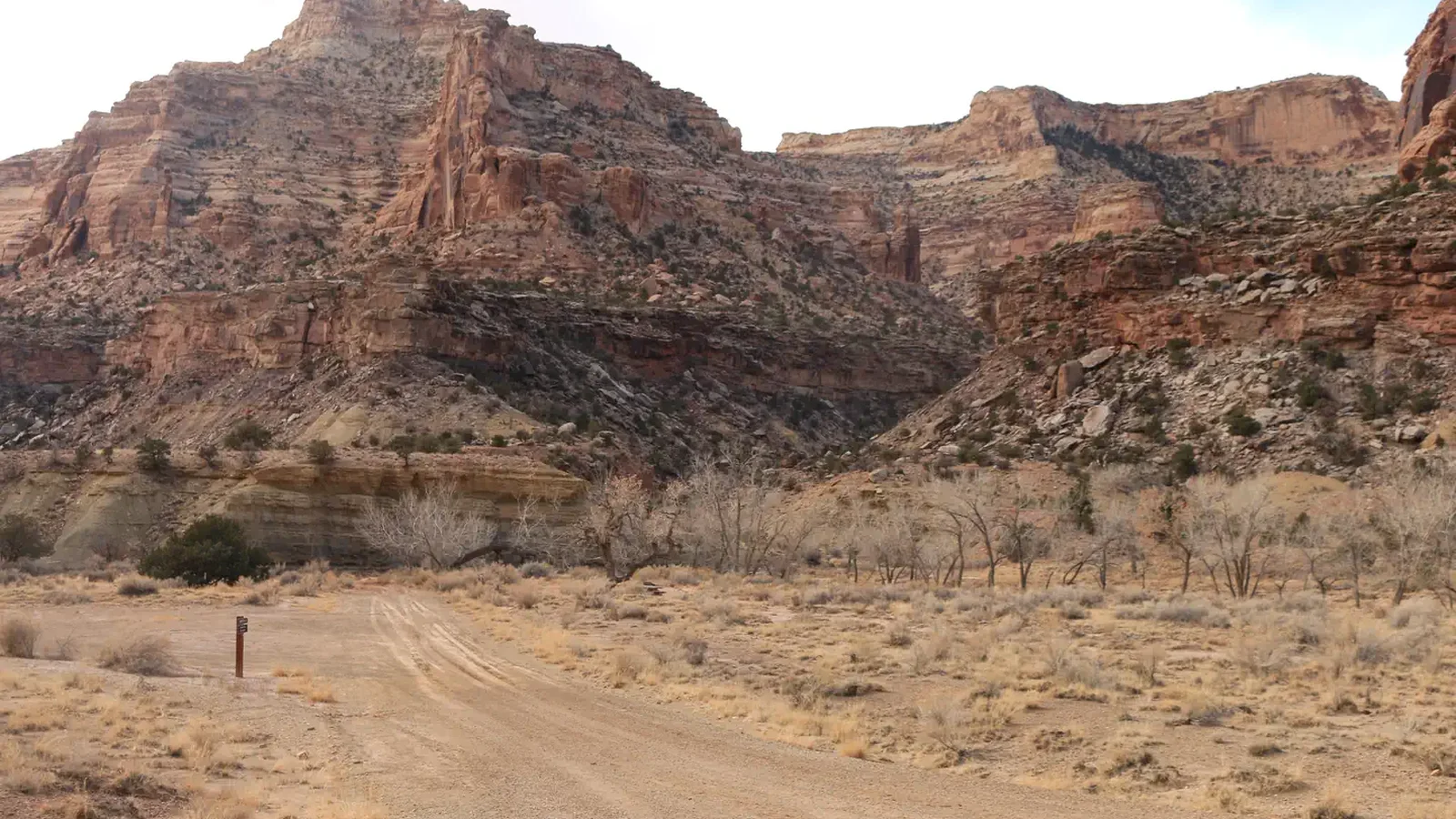 Tan sandstone cliffs rise up behind a gravel road with a campsite on one side and bare cottonwood trees on the other.