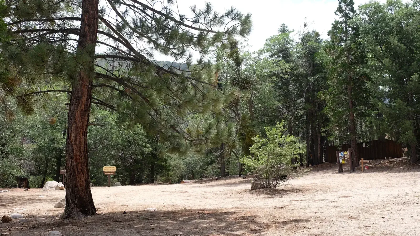 Fishermans Group Campground with trees.