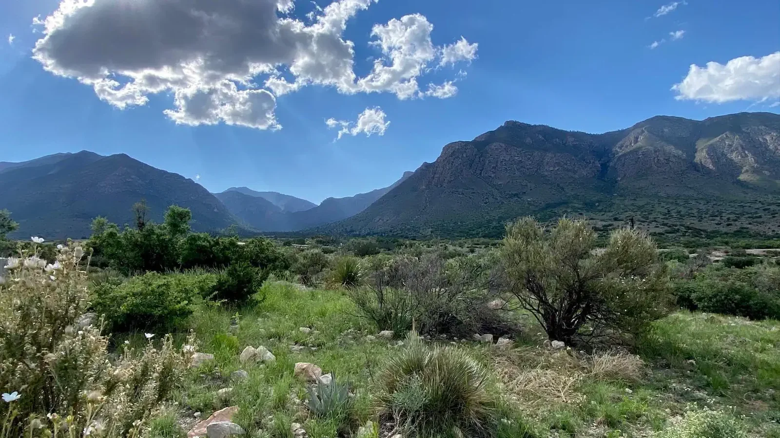 Pine Springs Campground sits in the opening to Pine Springs Canyon.