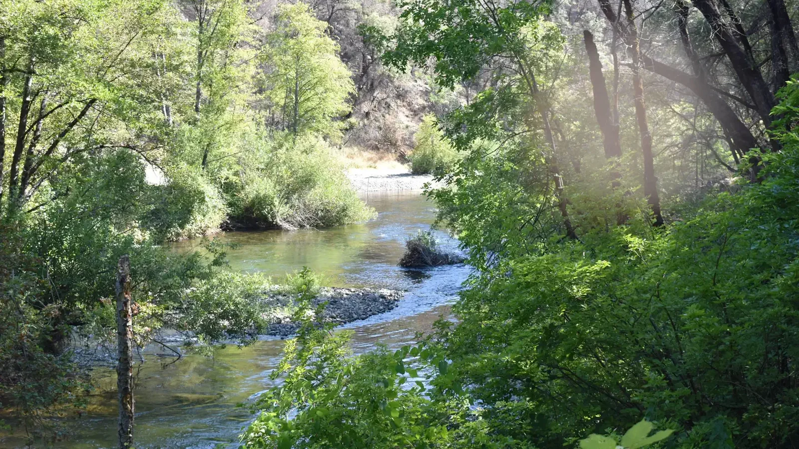 Clear Creek at Peltier Bridge Campground 2