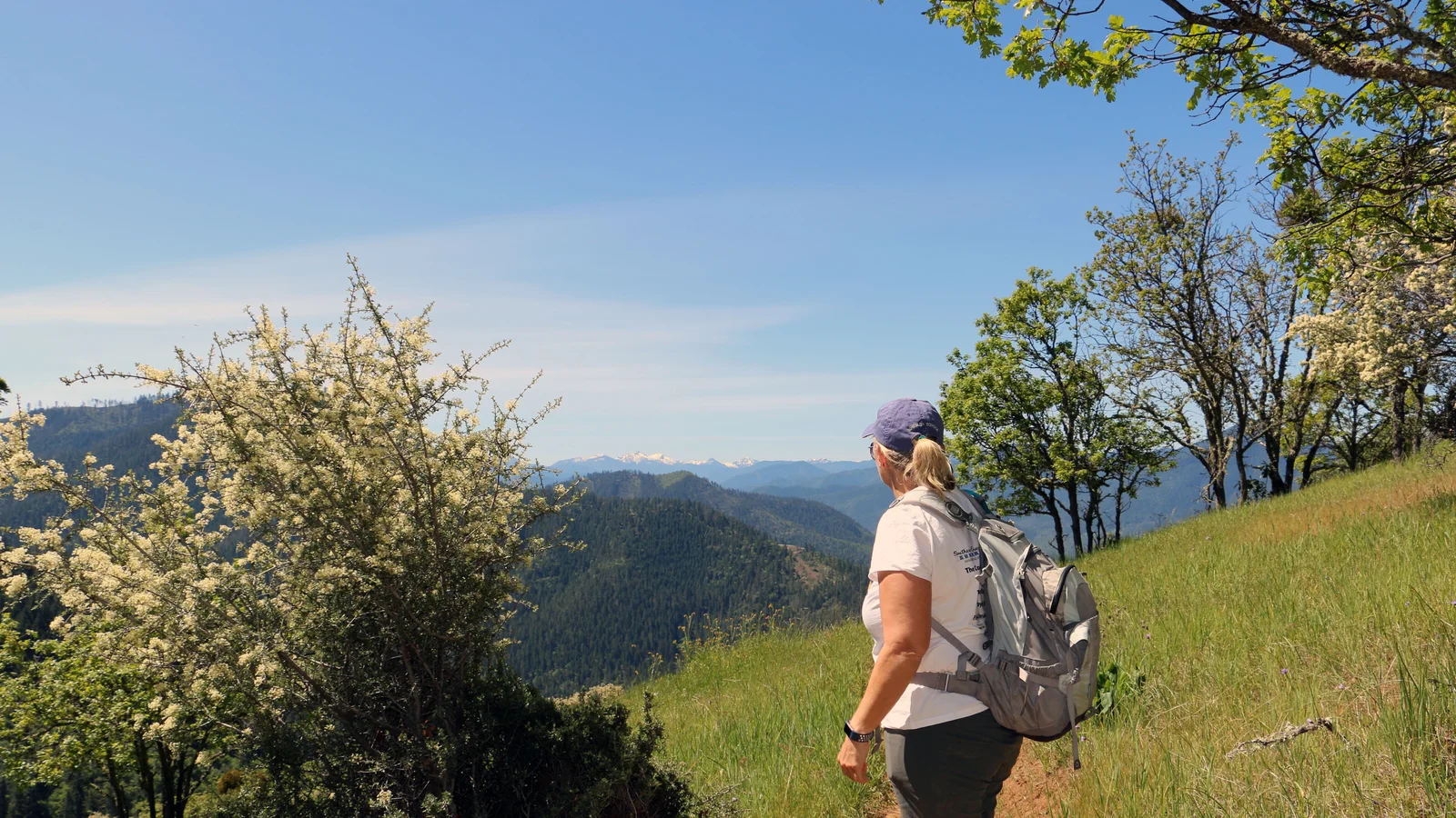Hiker on the East ART trail