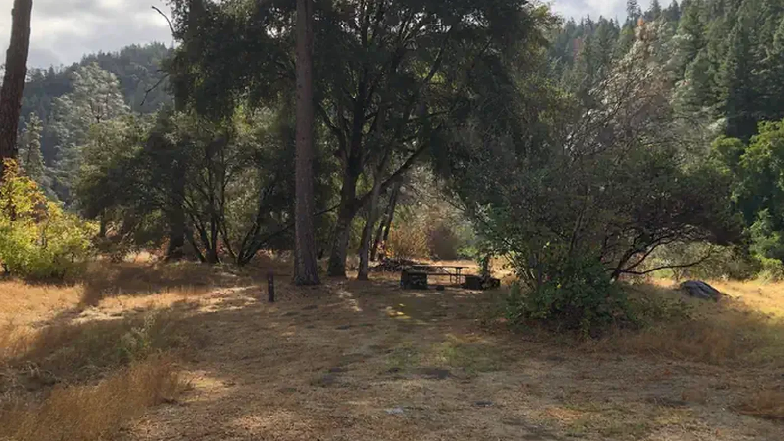 Additional picnic table and camping area