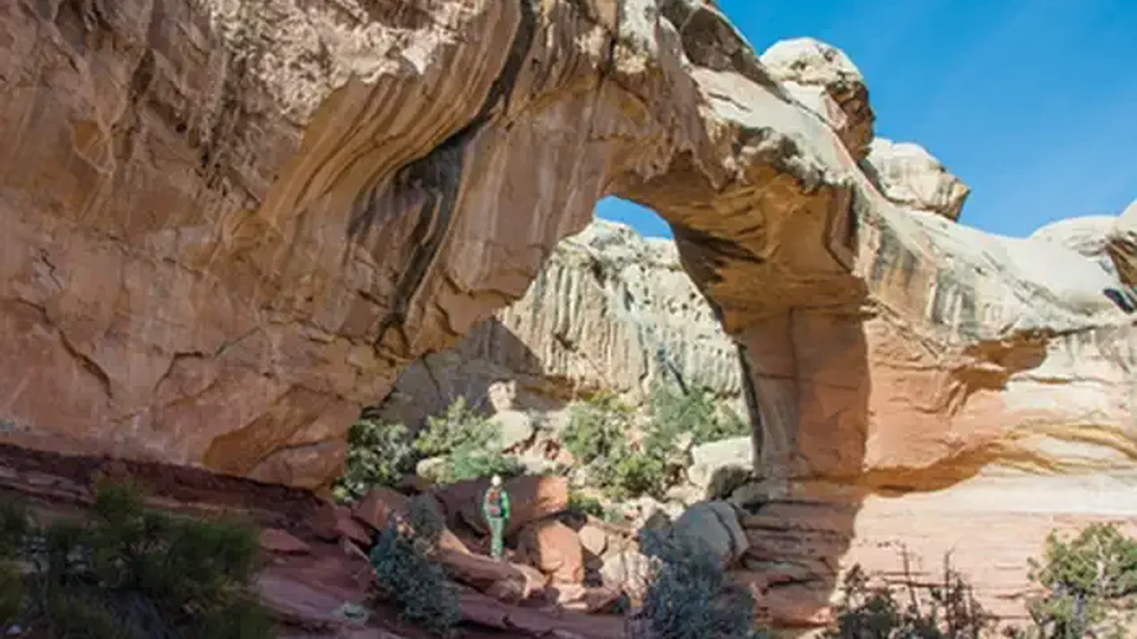 A hiker looks upon a light brown rock formation. The formation forms a wall, with a big hole missing in the middle. Some rock connects both sides of the wall above the hole. The sky is cloudless blue.