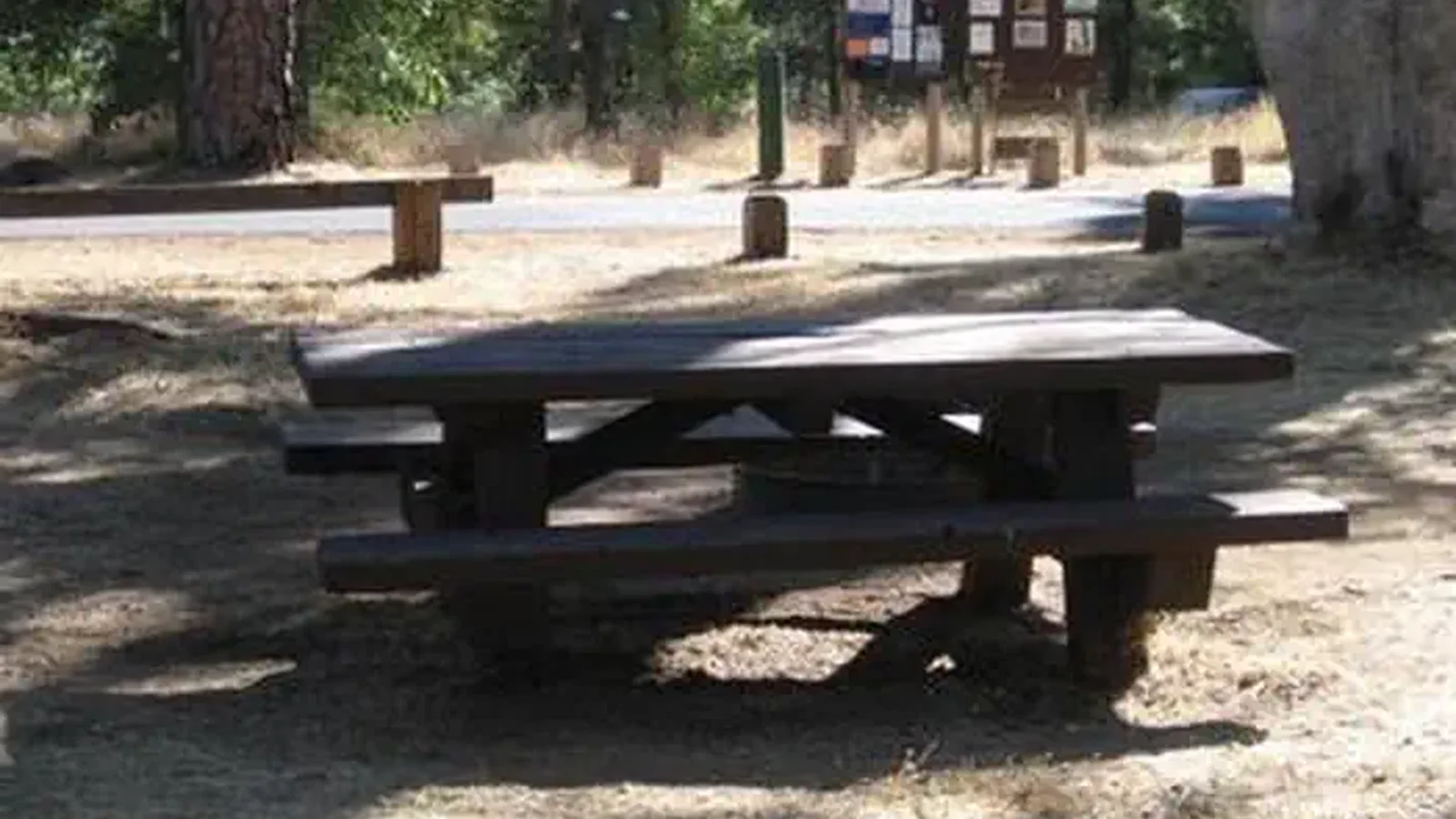 PINES GROUP STANISLAUS